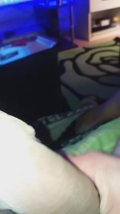 Bite excitée