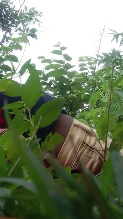 Indian desi village young married couple couldn't t have fun at home so had full fun on the jungle. | Clip 1