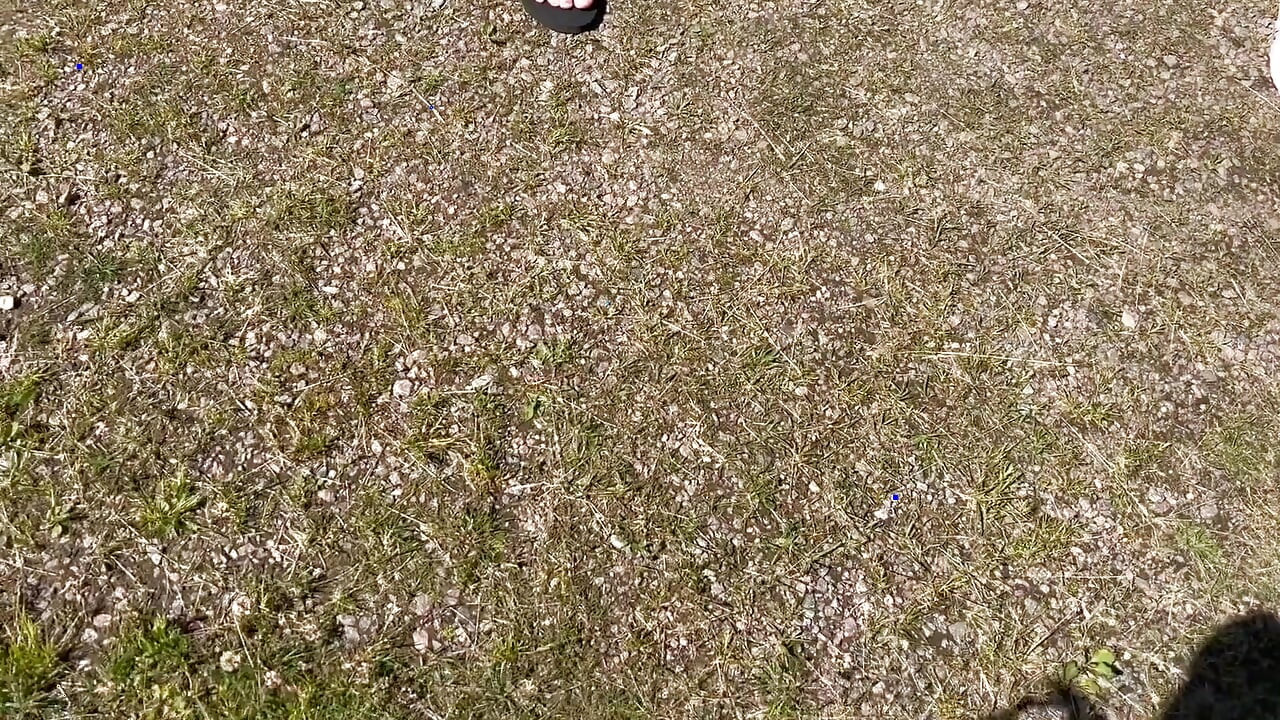 Outdoor sex on the farm