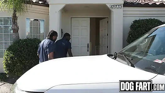 Dogfart - tante semok jennifer white didobel penetrat sama cowok repo setelah dientot habis-habisan sama suaminya di kasino