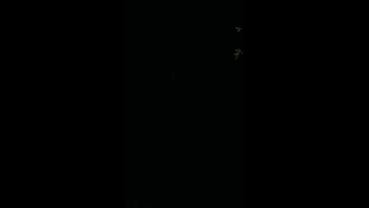 Dobijanje bliskoistočna kiša sperme na licu POV sperma na kameri