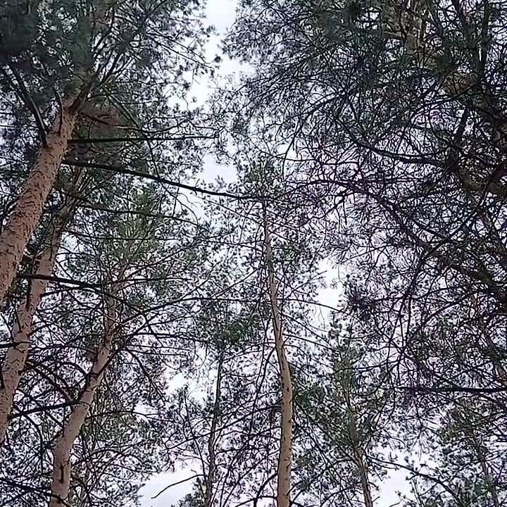 Our Third Girlfriend Keeps Watch in the Park so No One Catches Us Having Sex