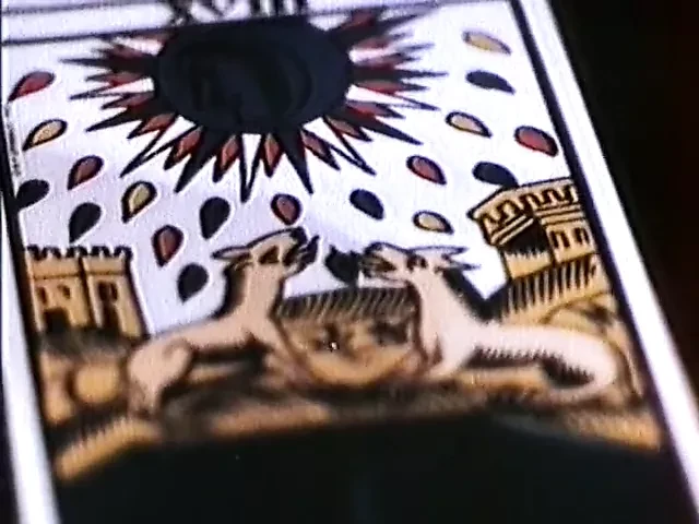 9 LIVES OF A WET PUSSY