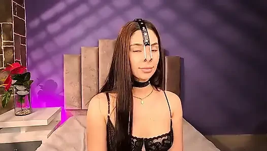 Свинья нос арпень