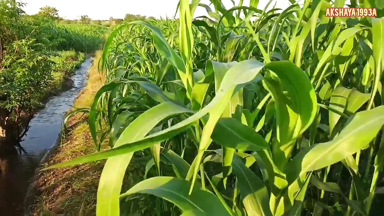 kannada Motivation und inspirierende geschichte I kannada geschichte I kannada kathegalul moralische geschichten