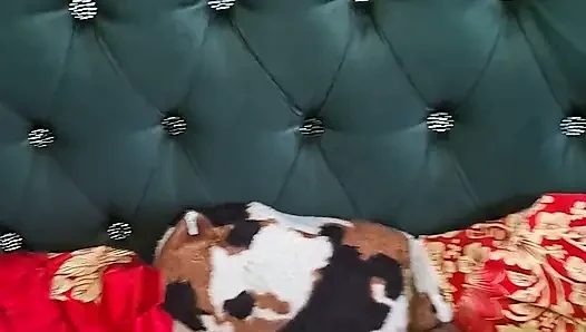 Meine in Joss dickem gesäß habe ich daran geschnallt.