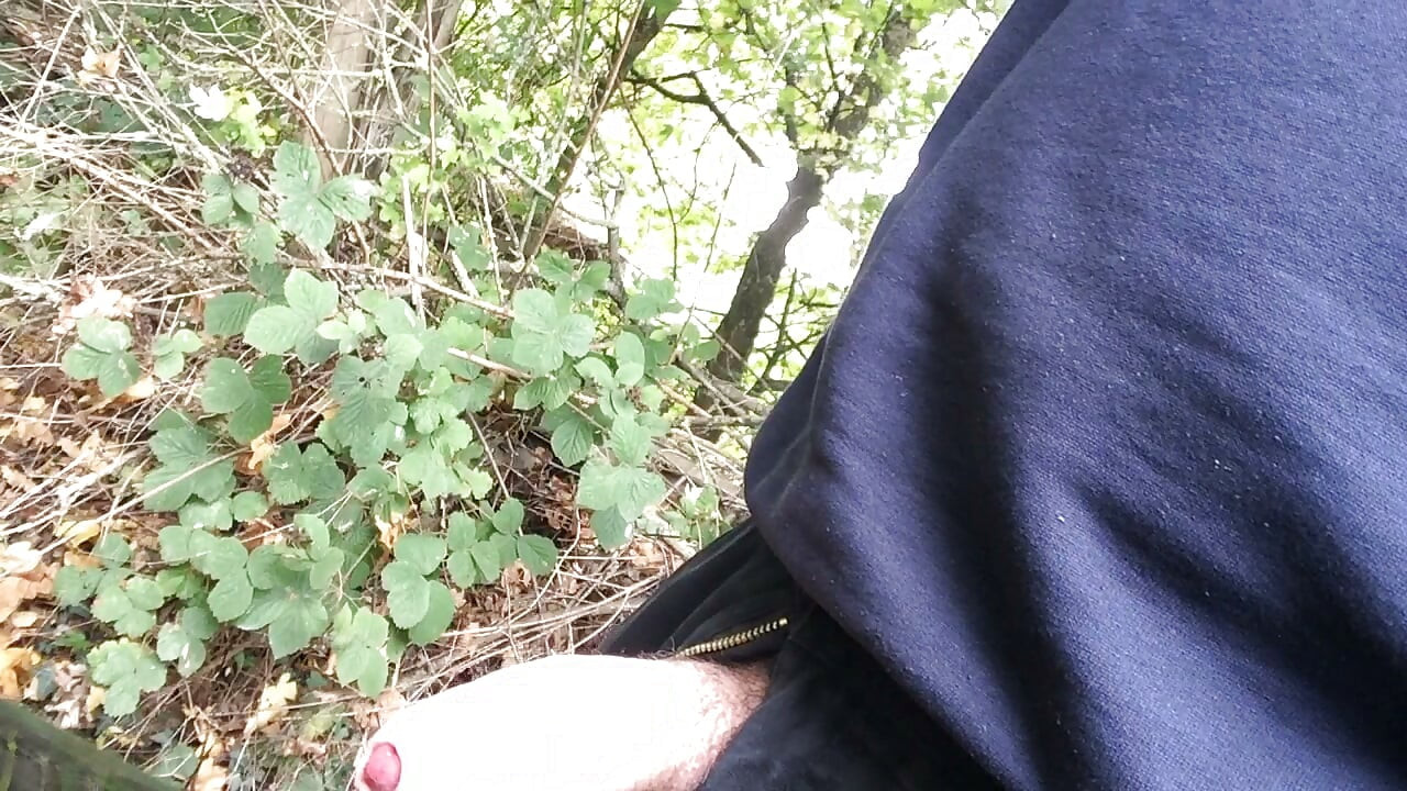 Paja en el bosque