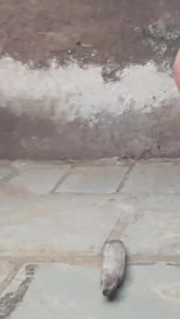Jaw-dropping moment from "Elder sister-in-law opened the skirt and took a bath in the open bathroom completely naked."
