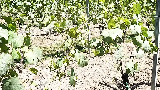 willst ficken - tropfen und betteln für mehr