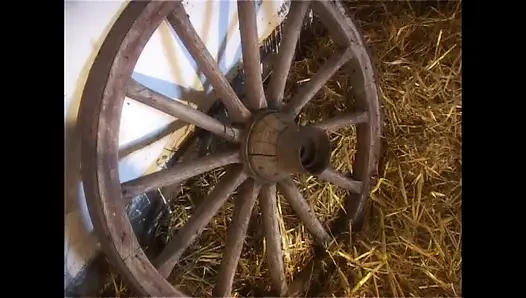 Doppelte penetration auf dem Bauernhof mit abspritzen im mund für zwei geile schlampen