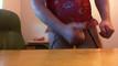 Pregled videozapisa