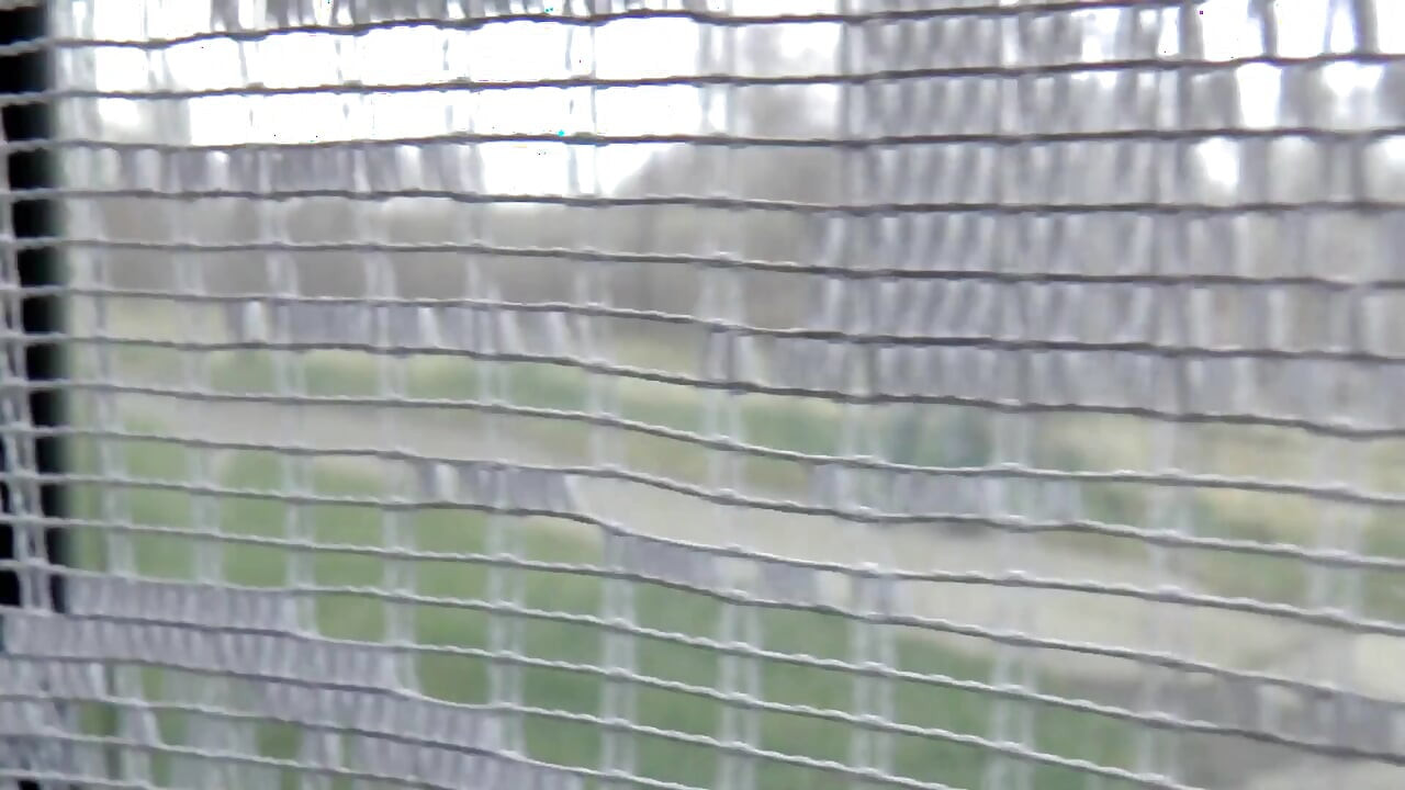 Lovely big ass chick anallly smashed