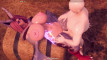 Pregled videozapisa