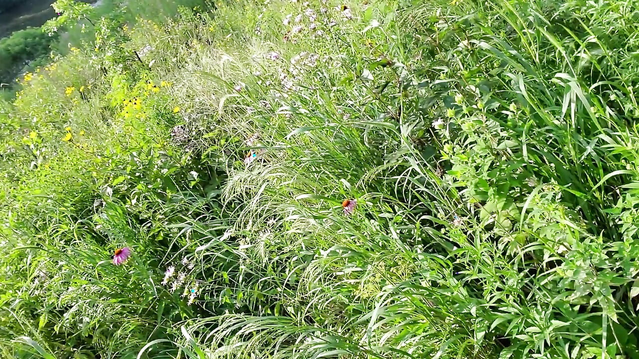 Kenniejai在户外赤身裸体走来走去并被抓住