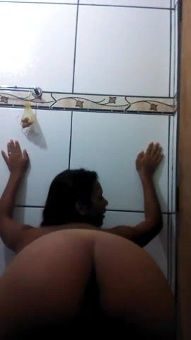 striper morena