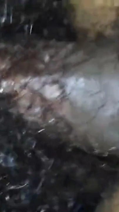 Hairy pussy and big pinus porn | Clip 2