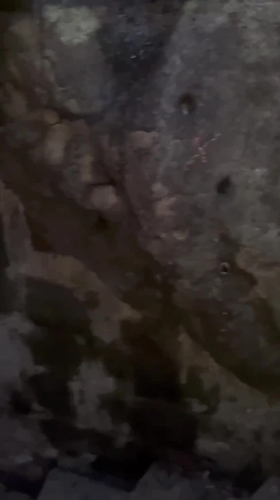 Khoảnh khắc rớt hàm từ "Katty Blake được phát hiện bởi khách du lịch làm tình trong Piedra del Peñol, Guatapé, Antioquia, COL"