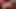 BBW Trans Anal Multiple Creampie
