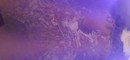 Pratinjau video