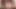 Brunette ladyboy in leopard panties strokes her huge cock in