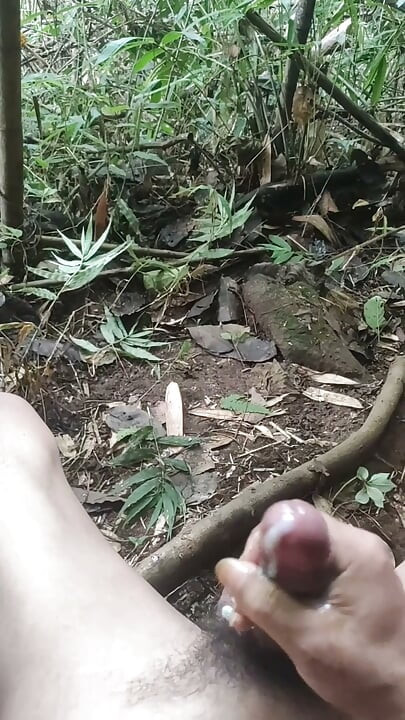 Soksoka in jungle