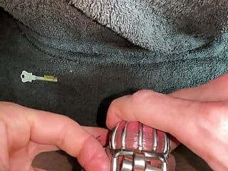 POV, changement de chasteté plate avec un plug urétral en petite cage de chasteté