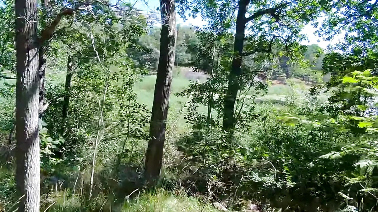 - Somatic Eros - Public Edging in the Forrest