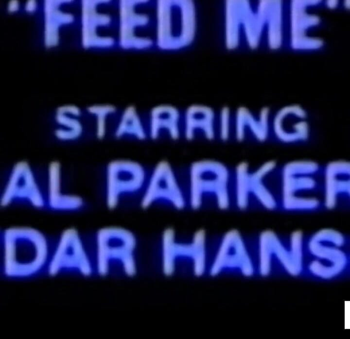 Horny Blond Al Parker Sex Fantasy Fulfilled