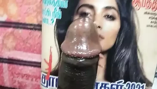 Pooja Kumar porn video – Pooja thevadiya sucking my oily black cock