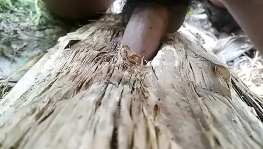 Nature Sex.. Sex with Banana Tree. PART....5