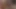 Haunted House Grows Futa Cock On Brunette And Fucks Blonde Tomboy Girl - Shemale Cum Fest TRAILER
