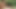 フィットな女の子たちが私の10インチBBCストラップで犯される