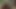نيك زوجي في طيزه باستخدام دسار مخلس على طريقة الكلب - Shamelesshy