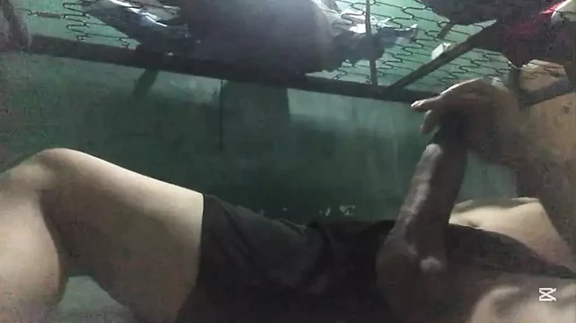rich solo handjob my hot stepson has orgasm
