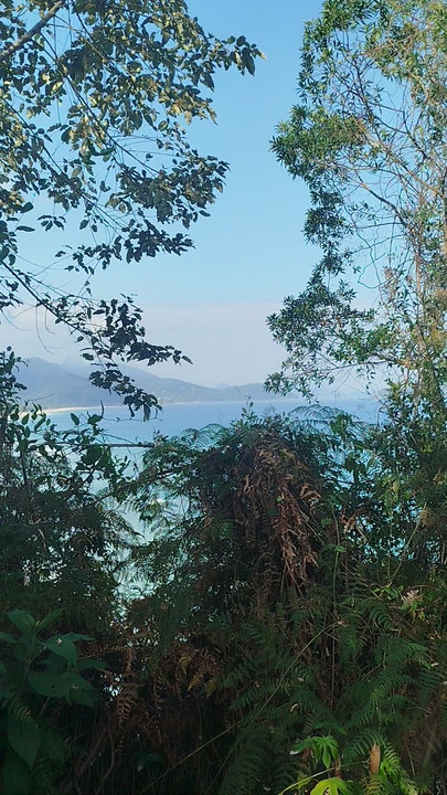 Sur la vue sur la plage