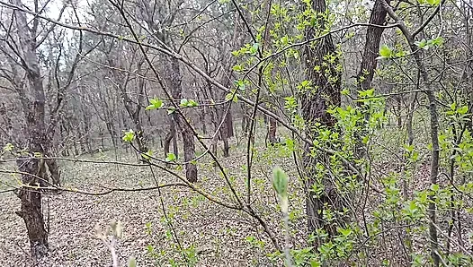 Ich pinke und ficke meinen liebhaber in den mund im wald, damit meine frau uns nicht erwischt