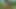 Minecraft Horny Craft - Part 28 Creeper in Lingerie! Blowjob POV by Loveskysanhentai