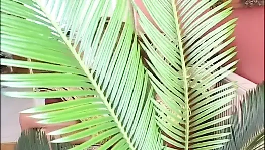 Соло писсинг-девушки Simona, сексуальная писающая девушка