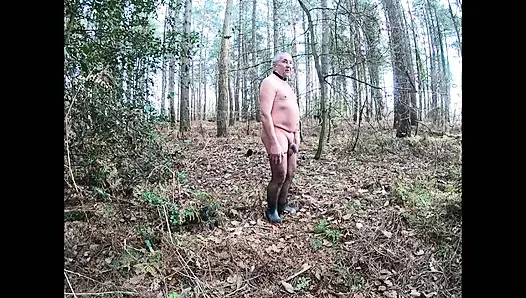 Soğuk taze sabah 2