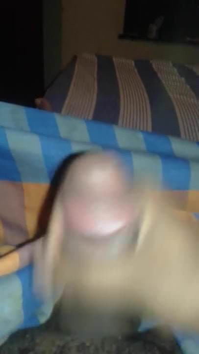 Sri Lankan cock