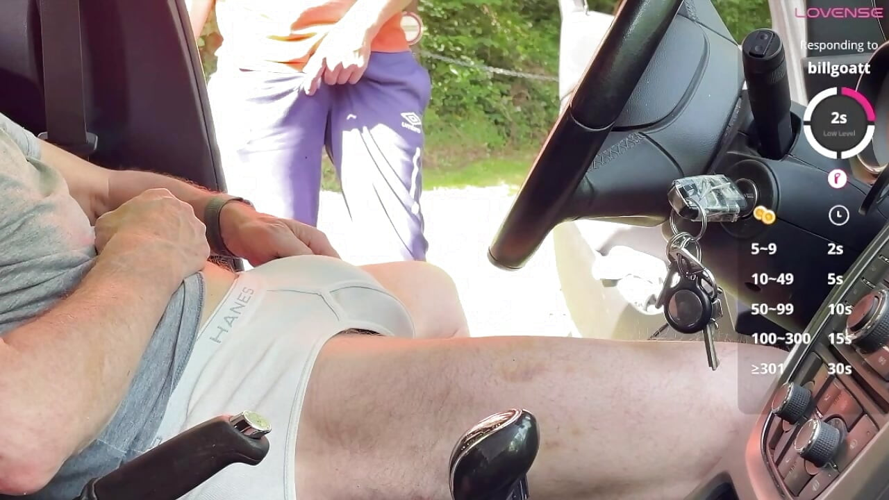 A Sunny Car Encounter