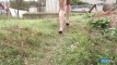 Pratinjau video