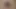 Kudoslong strips to just a jacket masturbates his shaved flaccid cock becoming erect