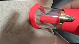 Bestes muschilecken, lutschen von spielzeug