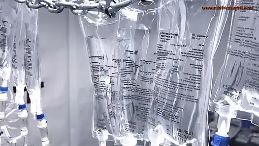 Majikan dominatrix april, toket aslinya dientot