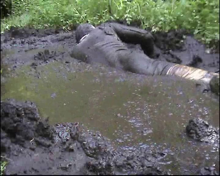 mud dress 66