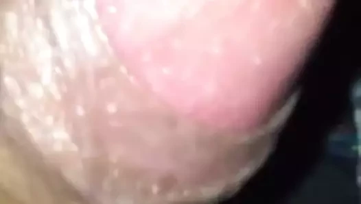 penis