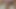 SUBMISSIVE AND HAIRY TRANS, MASTURBATES IN PUBLIC BATHROOMS UNTIL CUM SQUIRTS, SUBMISSIVE AND HOT BIG COCK AND VENIZA