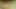 Pee And Jerk Off Close Up Cumshot At 4:40