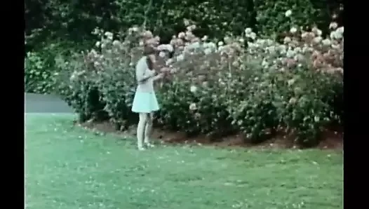 Saudara tiri taman bermain